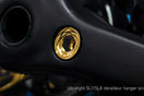 Specialized SL6/SL7/SL8 Derailleur Hanger Bolt 0.9 g vs Stock 2.9 g (2.0 g Saved)