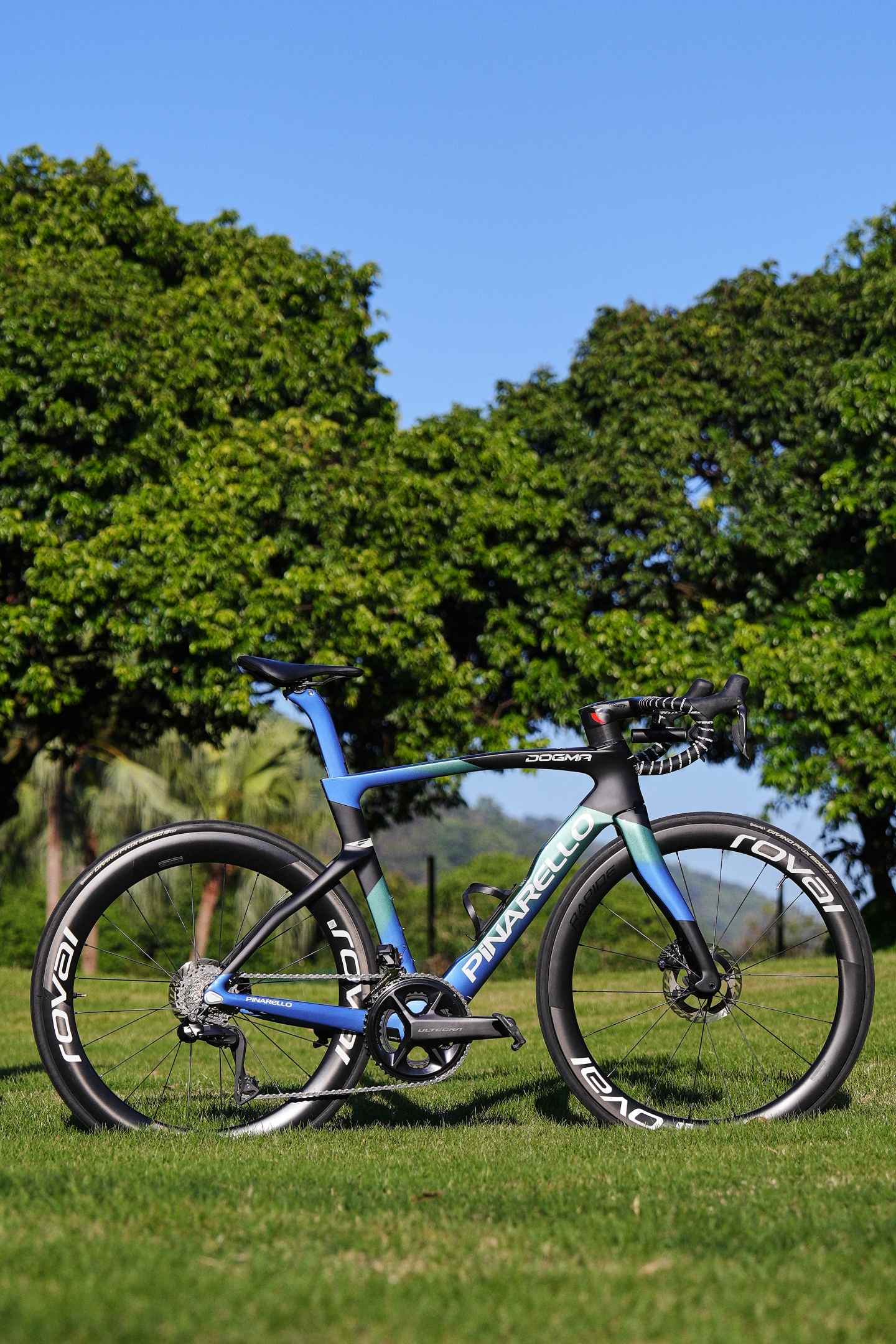 TiNE TECH presents Pinarello Dogma road bike with blue-black gradient frame, Roval wheels, aerospace titanium