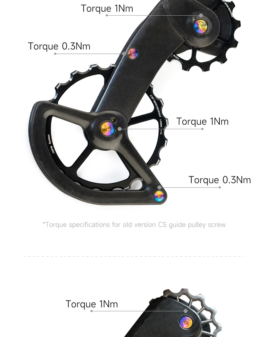 Close-up image of a bicycle derailleur cage showing titanium bolts at key points with torque specifications labeled as 1Nm and 0.3Nm for assembly guidance.