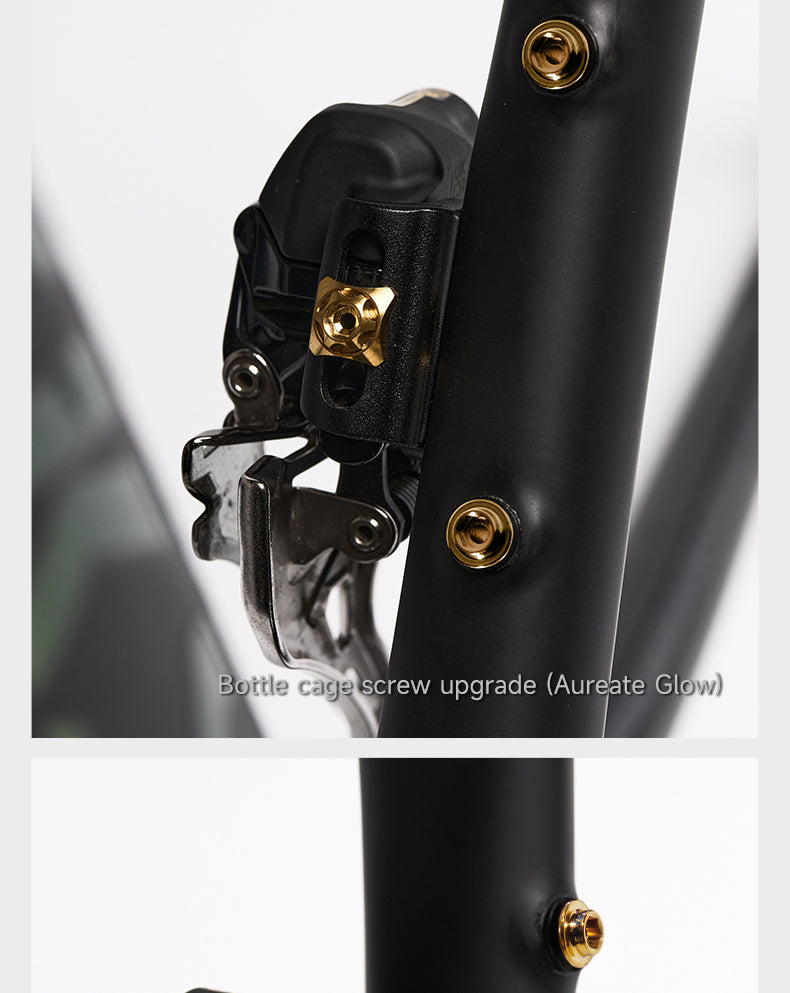 Close-up of a bicycle frame showing gold-colored titanium bolts securing a bottle cage mount and other components against a matte black surface.